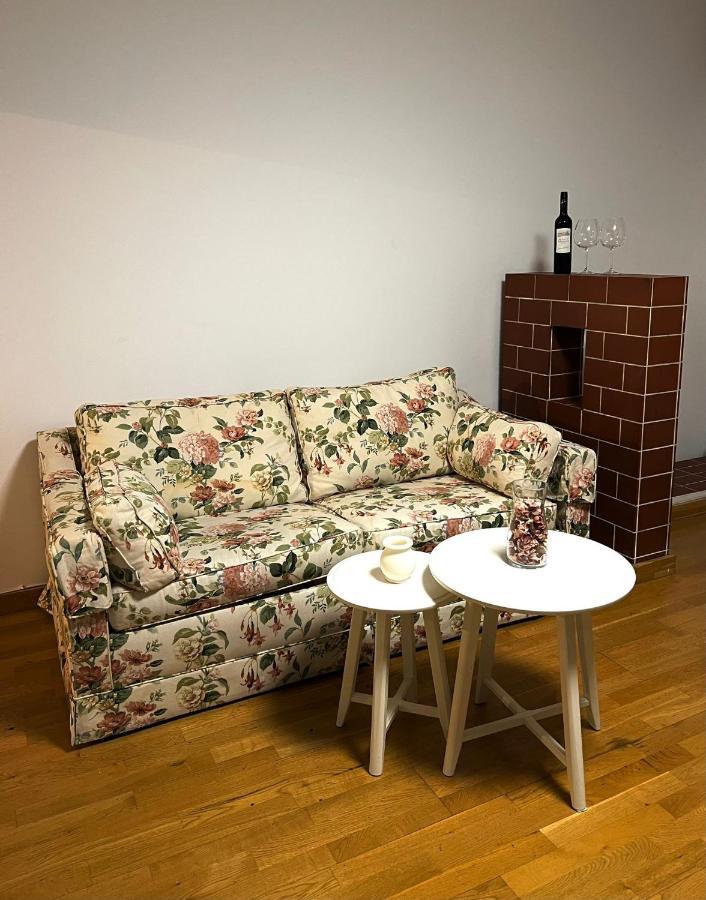 Spacious Apartment With Terrace Wiedeń Zewnętrze zdjęcie
